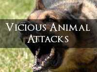 Vicious-Dog-Attacks