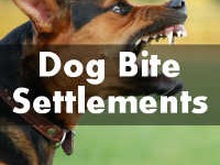 dog-bite-settlements